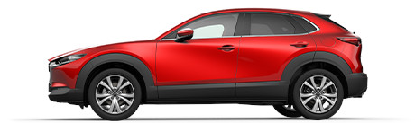 Mazda_CX-30_Hybrid_Auto_Elektroauto_E_Auto_Elektrofahrzeug_Foerderung_E_Mobilitaet_Umweltbonus